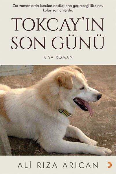 Tokcay’ın Son Günü - Ali Rıza Arıcan kitap kapağı