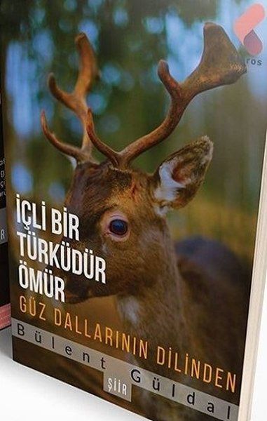 İçli Bir Türküdür Ömür - Bülent Güldal kitap kapağı