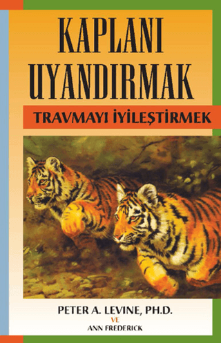 Kaplanı Uyandırmak - Ann Frederick kitap kapağı