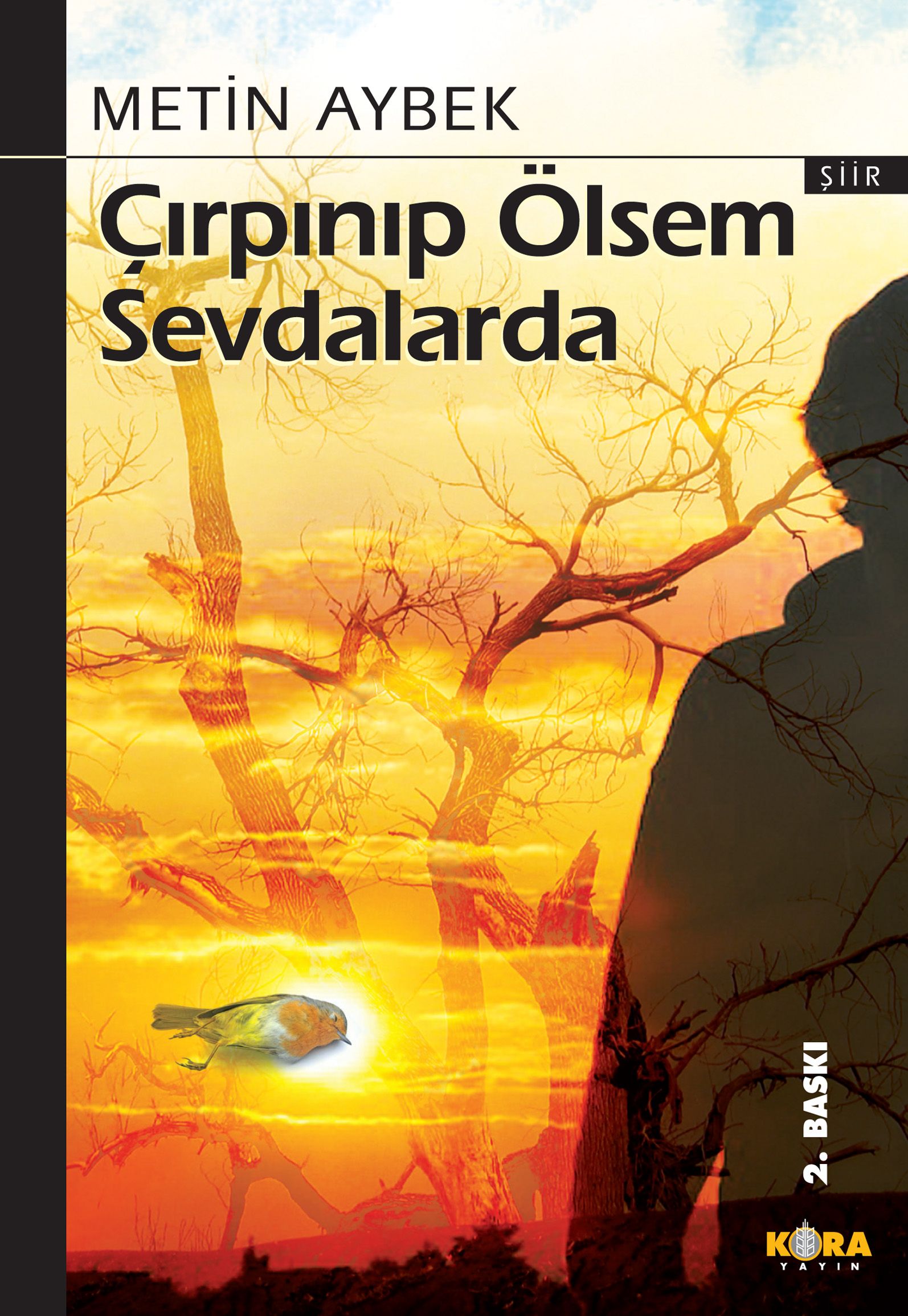 Çırpınıp Ölsem Sevdalarda - Metin Aybek kitap kapağı