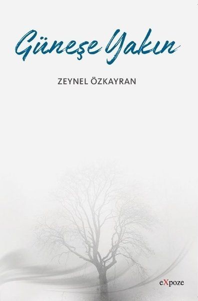 Güneşe Yakın - Zeynel Özkayran kitap kapağı