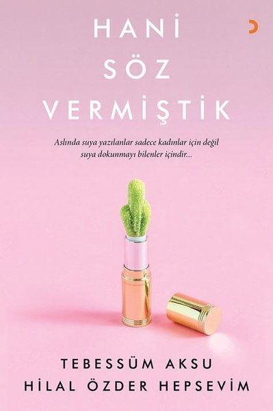 Hani Söz Vermiştik - Hilal Özder Hepsevim, Tebessüm Aksu kitap kapağı