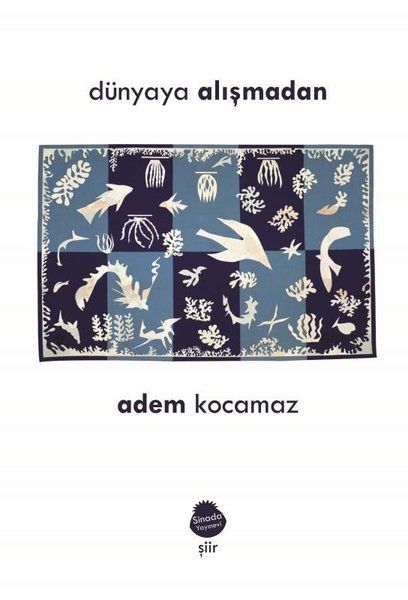 Dünyaya Alışmadan - Adem Kocamaz kitap kapağı