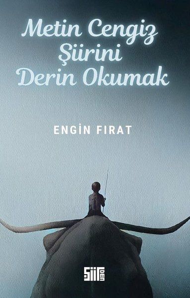 Metin Cengiz Şiirini Derin Okumak - Engin Fırat kitap kapağı