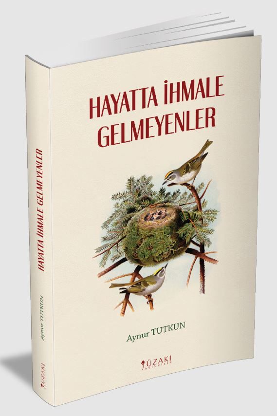 Hayatta İhmale Gelmeyenler - Aynur Tutkun kitap kapağı