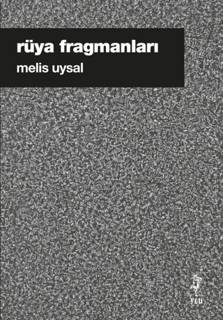 Rüya Fragmanları - Melis Uysal kitap kapağı