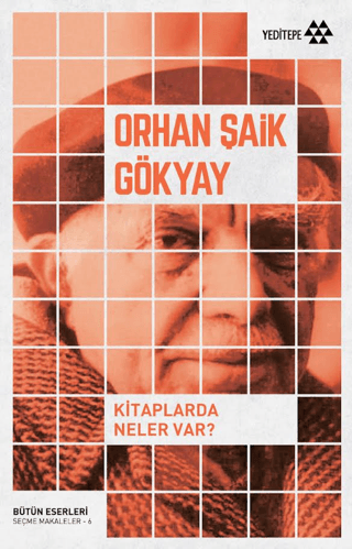 Kitaplarda Neler Var - Orhan Şaik Gökyay kitap kapağı