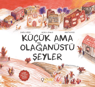 Küçük Ama Olağanüstü Şeyler - Daniela Arroio kitap kapağı