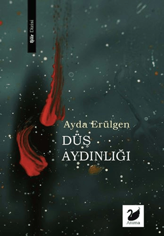 Düş Aydınlığı - Ayda Erülgen kitap kapağı