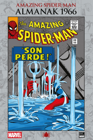 Amazing Spider-Man - Almanak 1966 - Stan Lee kitap kapağı